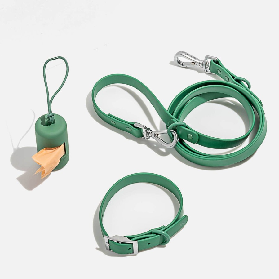 Wehe Wilde Haustierzubehor | Wild One Hundehalsband-Auslaufset Fichte