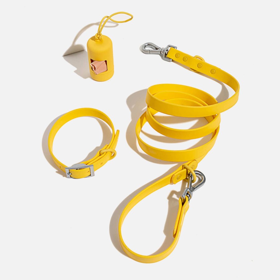 Wehe Wilde Haustierzubehor | Wild One Hundehalsband-Auslaufset Buttergelb